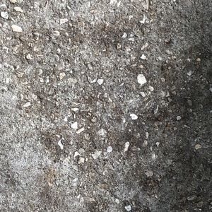 Meet your Posher, Tim